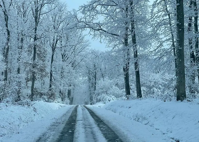 Дом отдыха Du Vieux Morat *
