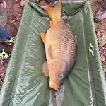 Du Vieux Morat * Saint-Bonnet-Tronçais