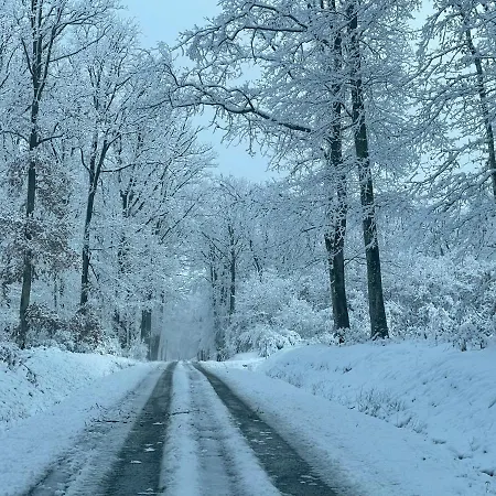 Semesterbostad Du Vieux Morat *