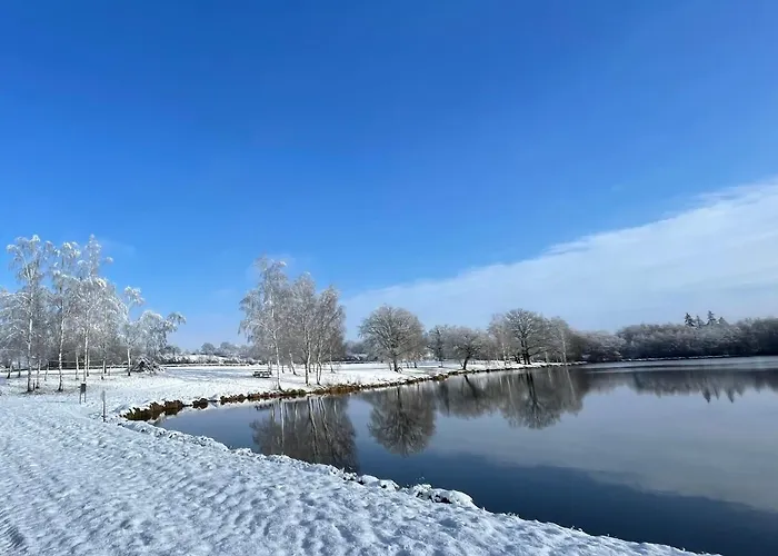 Du Vieux Morat 度假居